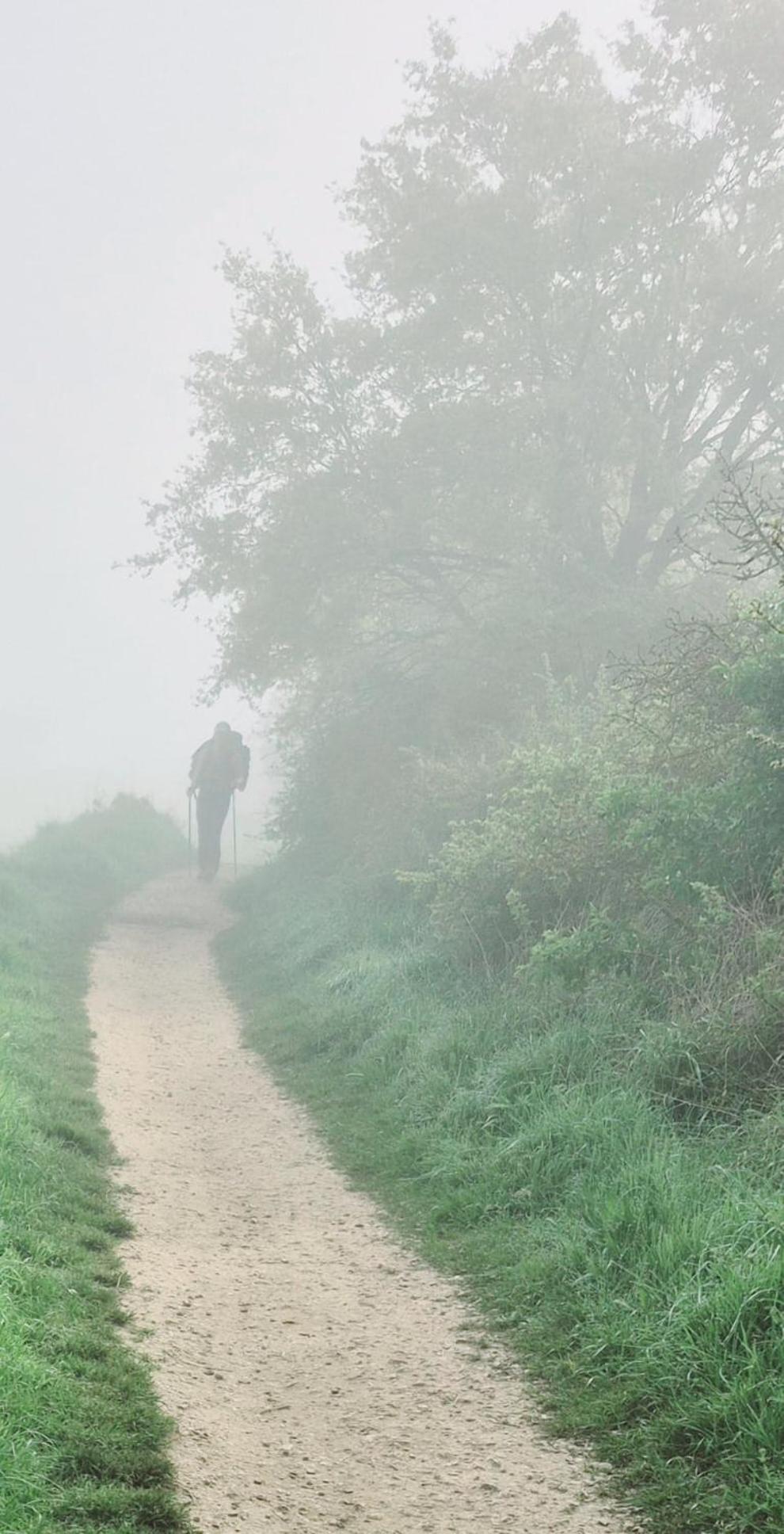 Ideal For Camino Quiet Space Away From Crowds * Zizur Mayor