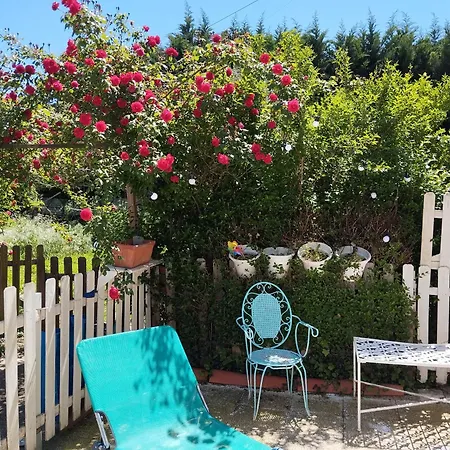 Ideal For Camino Quiet Space Away From Crowds Zizur Mayor Exterior photo